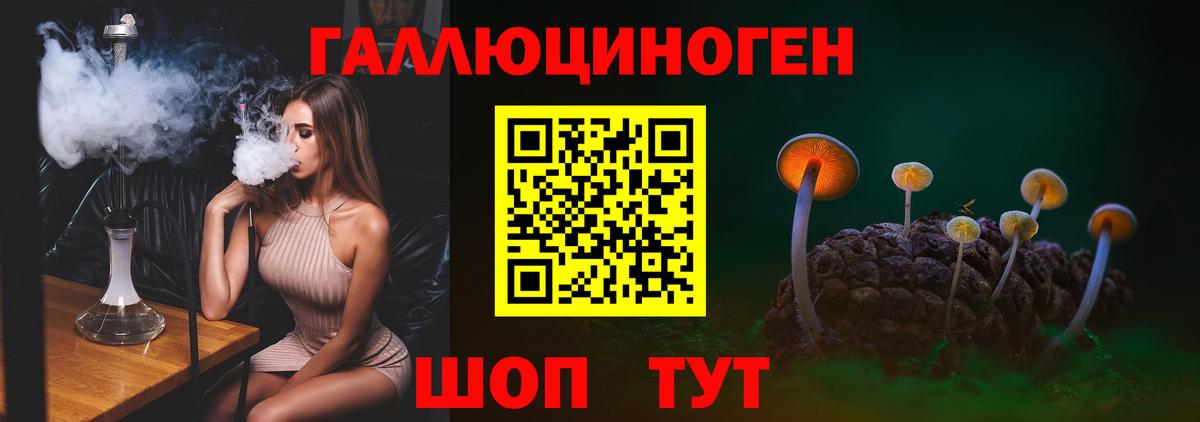 Выборг  Псилоцибиновые грибы Psilocybe  Вход с VPN 